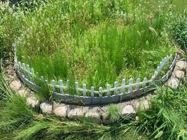 草が伸びる時期です！立ち合いなし、空き家なども対応いたしますサービスの画像