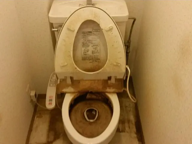 ☆★住まいに、格式ある輝きを──プレミアムハウスクリーニング☆★4点セットサービスの画像