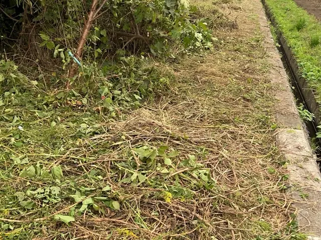 草刈り機作業サービスの画像