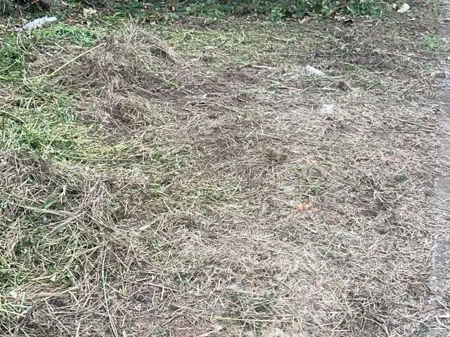 草刈り機作業サービスの画像