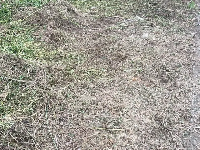 草刈り機作業サービスの画像