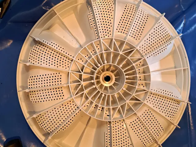 洗濯槽の裏側は洗剤残りとカビの温床です。きれいにはがしてお洗濯ものを清潔に！サービスの画像