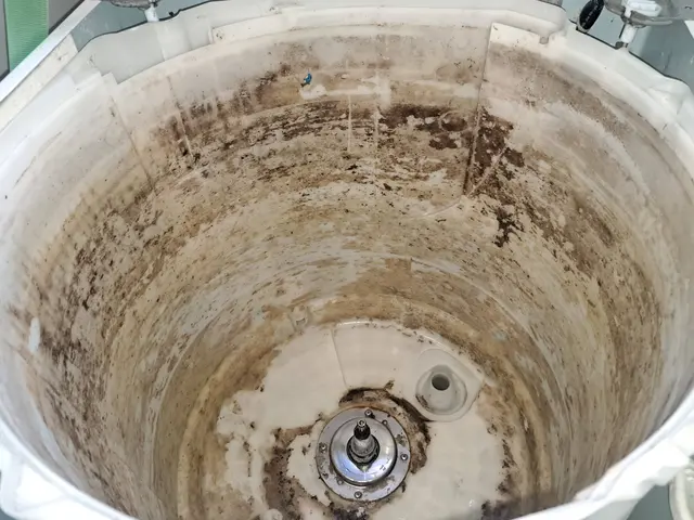 洗濯槽の裏側は洗剤残りとカビの温床です。きれいにはがしてお洗濯ものを清潔に！サービスの画像