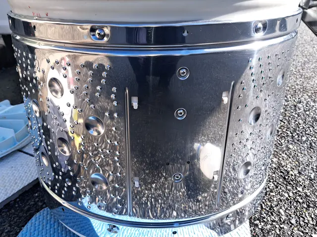 洗濯槽の裏側は洗剤残りとカビの温床です。きれいにはがしてお洗濯ものを清潔に！サービスの画像