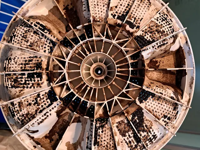 洗濯槽の裏側は洗剤残りとカビの温床です。きれいにはがしてお洗濯ものを清潔に！サービスの画像