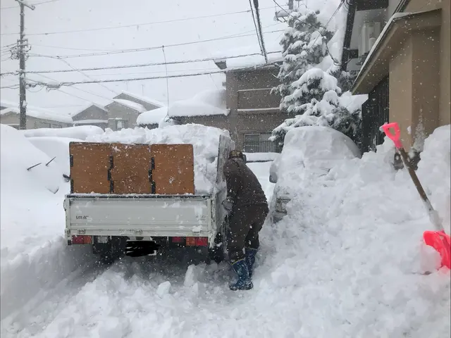 雪かき・雪下ろし代行（手作業／軽トラ排雪対応）サービスの画像