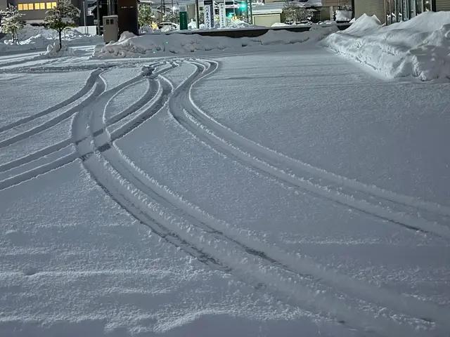 雪かき・雪下ろし代行（手作業／軽トラ排雪対応）サービスの画像