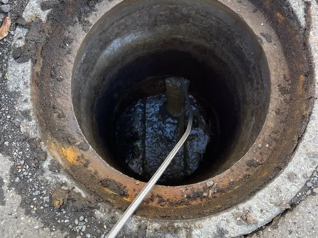 【損害保険加入済】プロの技術でご満足いただけるように心を込めて作業いたしますサービスの画像