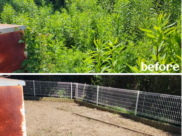 エンジン式草刈機にてお刈いたします！サービスの画像