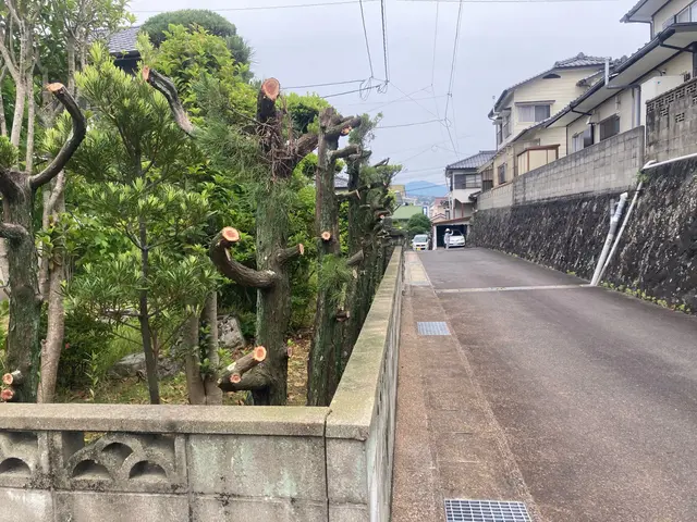 生垣の剪定サービスの画像