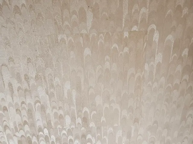 壁陥没穴がプロのリペア技術でなかった状態に補修出来ます。サービスの画像