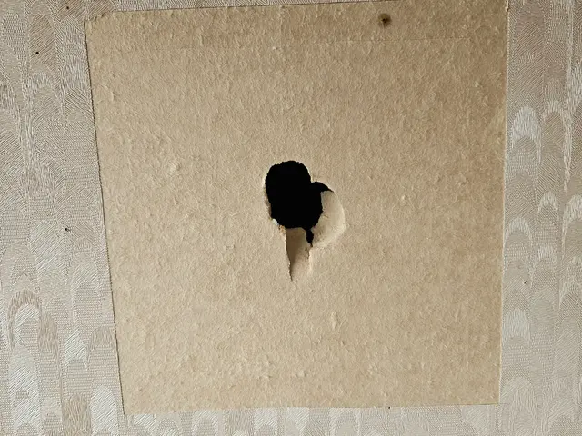 壁陥没穴がプロのリペア技術でなかった状態に補修出来ます。サービスの画像