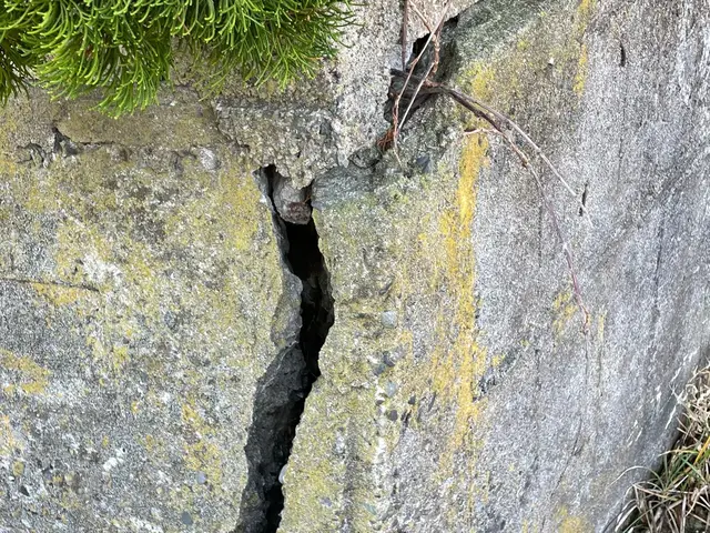 安心の損害保険加入済み！女性スタッフの対応も可能◎外注なし！サービスの画像