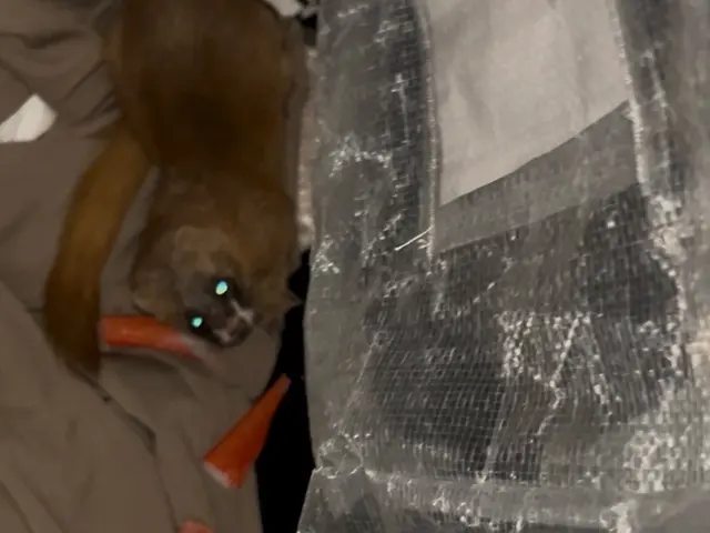 【被害続出中】私たちの解決策が確実に再被害を防いでおります。一度相談下さい！サービスの画像