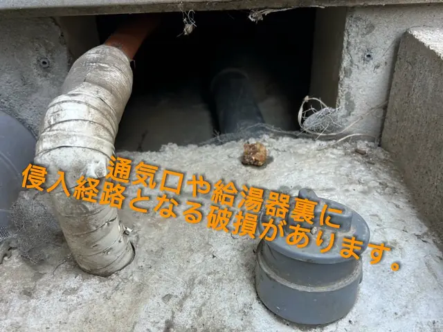 【被害続出中】私たちの解決策が確実に再被害を防いでおります。一度相談下さい！サービスの画像