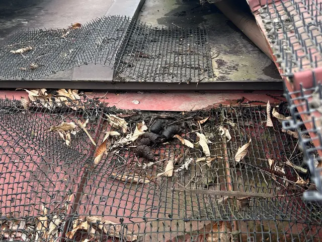 冬に向けて事前対策。冬眠されるとかなり大変な事態に。相談受け付けしております！サービスの画像