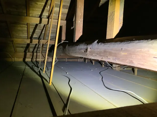 冬に向けて事前対策。冬眠されるとかなり大変な事態に。相談受け付けしております！サービスの画像