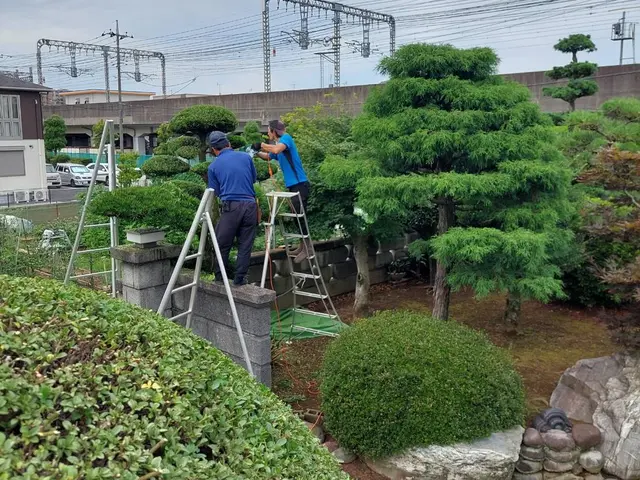 地域密着型の植木屋です○庭の悩みお気軽にご相談しながらお庭を綺麗に○良いご縁を○サービスの画像