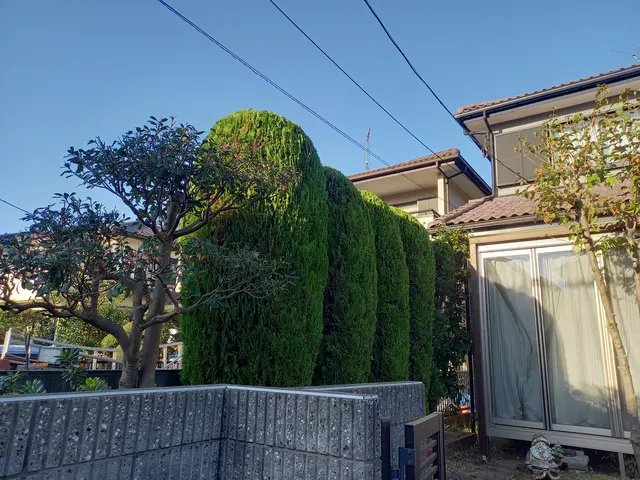 地域密着型の植木屋です○庭の悩みお気軽にご相談しながらお庭を綺麗に○良いご縁を○サービスの画像