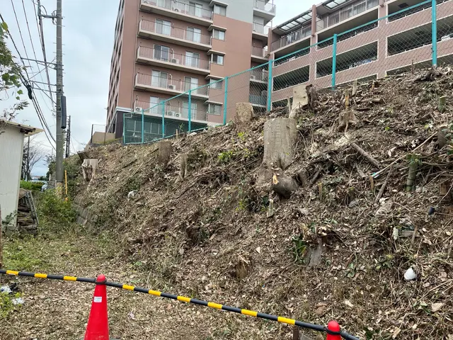 【伐採・抜根作業】職人歴15年の実績◎迅速丁寧に仕上げます！サービスの画像