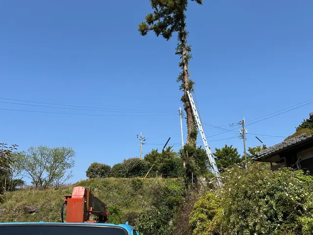 【伐採・抜根作業】職人歴15年の実績◎迅速丁寧に仕上げます！サービスの画像