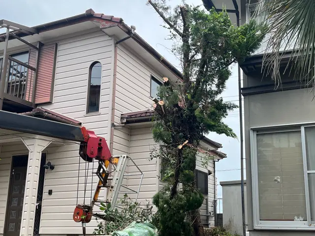 【伐採・抜根作業】職人歴15年の実績◎迅速丁寧に仕上げます！サービスの画像