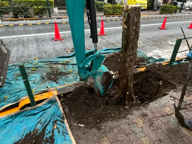 【伐採・抜根作業】職人歴15年の実績◎迅速丁寧に仕上げます！サービスの画像