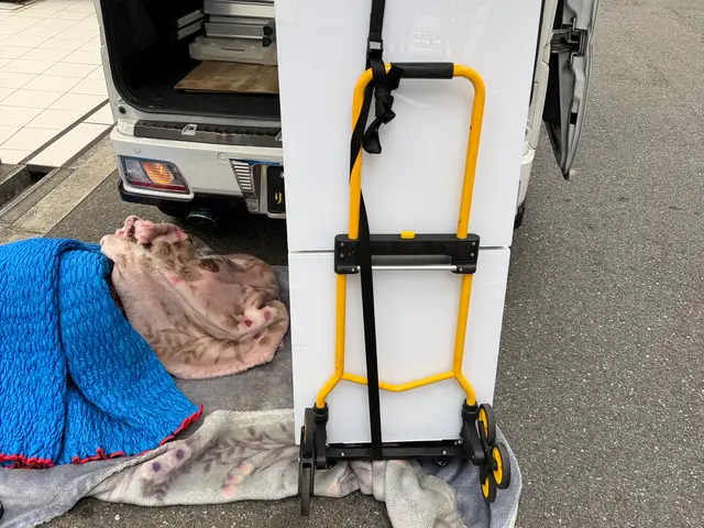 専用装備完備で大切な家財を安全輸送！店長の私が丁寧な作業をお約束サービスの画像