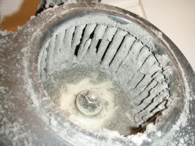 ＜地域密着おそうじ職人＞落とせる汚れはすべて落とします！＜20年超の実績＞サービスの画像