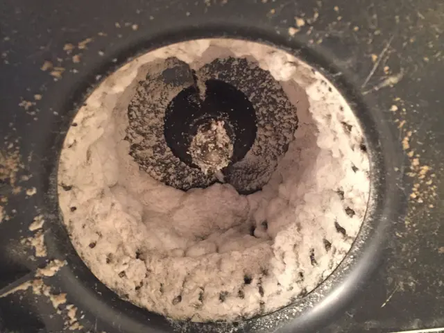 ＜地域密着おそうじ職人＞落とせる汚れはすべて落とします！＜20年超の実績＞サービスの画像