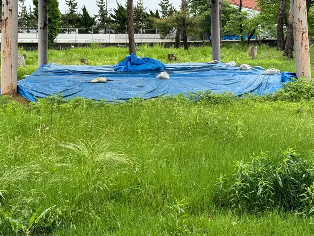便利屋ぼーちゃんの草刈り‪☆その厄介な草刈り、私たちがやります！サービスの画像