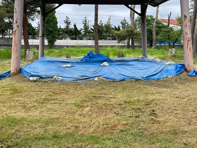 便利屋ぼーちゃんの草刈り‪☆その厄介な草刈り、私たちがやります！サービスの画像