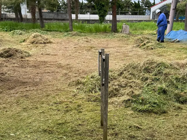 便利屋ぼーちゃんの草刈り‪☆その厄介な草刈り、私たちがやります！サービスの画像