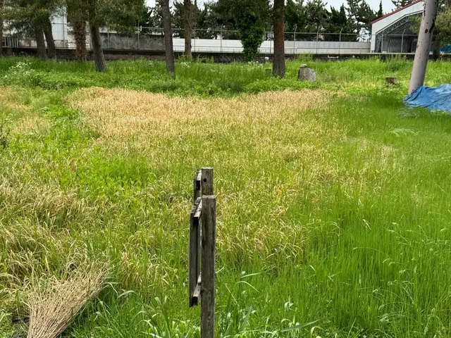 便利屋ぼーちゃんの草刈り‪☆その厄介な草刈り、私たちがやります！サービスの画像