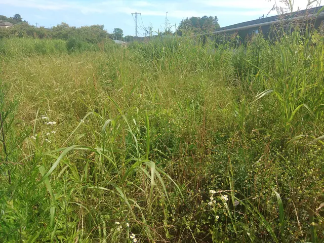 【創業25年】年中無休！お客さまの希望に添える美しい庭造りはお任せ下さい◎サービスの画像