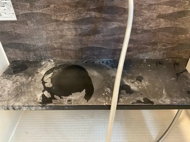 ☆最安値☆ 女性ならではの細かい作業は、お任せ下さい！気になる所は何度でもお掃除サービスの画像