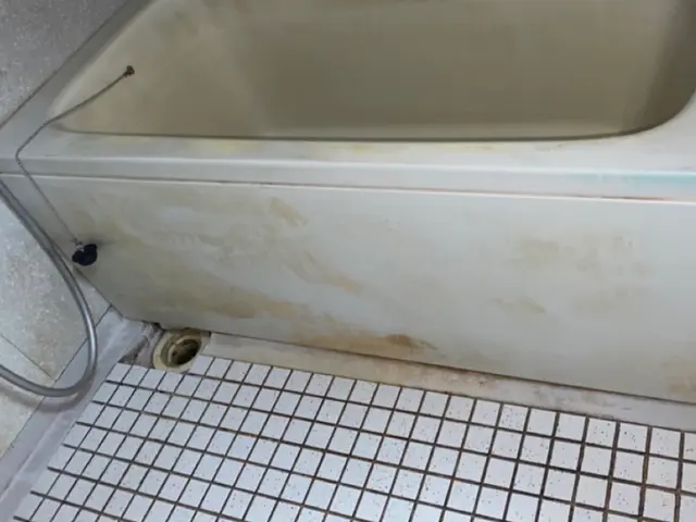 ☆最安値☆ 女性ならではの細かい作業は、お任せ下さい！気になる所は何度でもお掃除サービスの画像