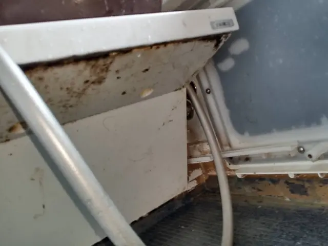 ☆最安値☆ 女性ならではの細かい作業は、お任せ下さい！気になる所は何度でもお掃除サービスの画像