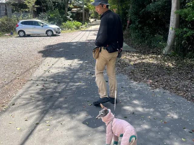 \\名古屋で愛されて22年//ペットシッター　安心お留守番で　家族みんな笑顔に。サービスの画像