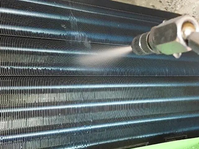 小さいお子様やペットにも安心な洗剤を使用しています。不安な事はご相談下さい。サービスの画像