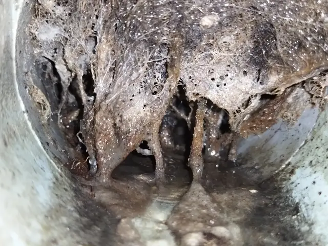 ◆予約から施工まで100%自社対応◆大手業務経験豊富◆営業時間外も対応OKサービスの画像