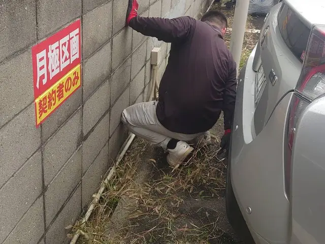 草むしり(手作業)サービスの画像