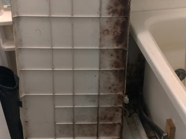 予約入れず、まず日程は先に「お問い合わせ」でご確認下さい!ハイランククリーニングサービスの画像