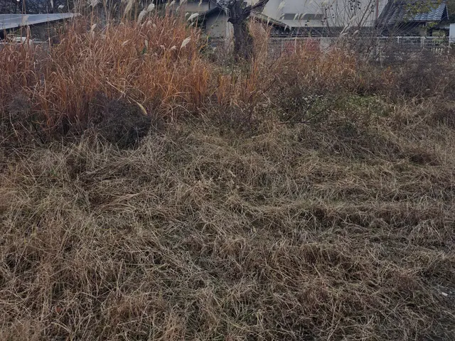 草刈り　草刈り機サービスの画像