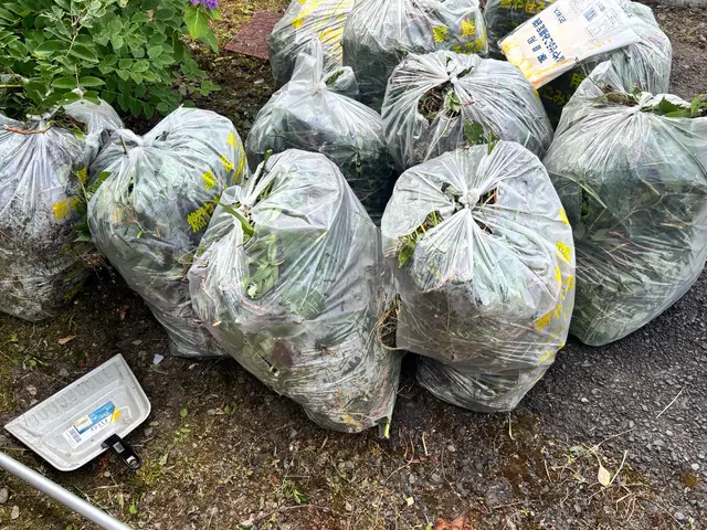 【店長が伺います！】損害保険加入済み◉安心・丁寧な対応を心がけています！サービスの画像