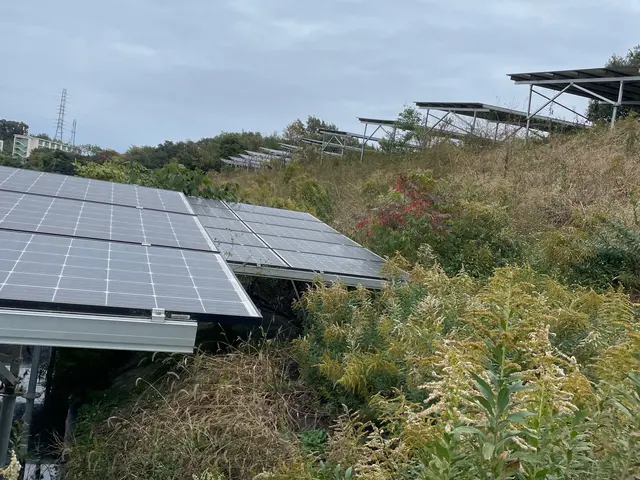 開店記念セール！安心安価・丁寧な仕上がり！店長直接訪問の草刈りサービスサービスの画像