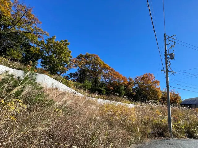 開店記念セール！安心安価・丁寧な仕上がり！店長直接訪問の草刈りサービスサービスの画像