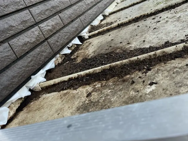 コウモリ駆除 / 追い出し・清掃・消毒対応可サービスの画像