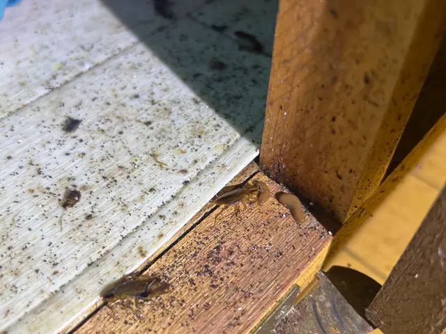 誠実対応◎損保加入・外注なし◎作業に不満がある場合は、無料にて追加対応可能サービスの画像