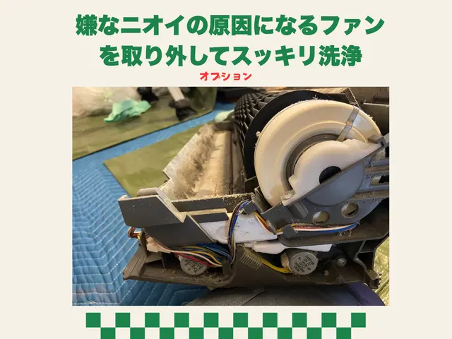 🛜【初めての方にも安心♪】カビ汚れ徹底洗浄【完全分解×除菌水】スッキリ仕上げサービスの画像
